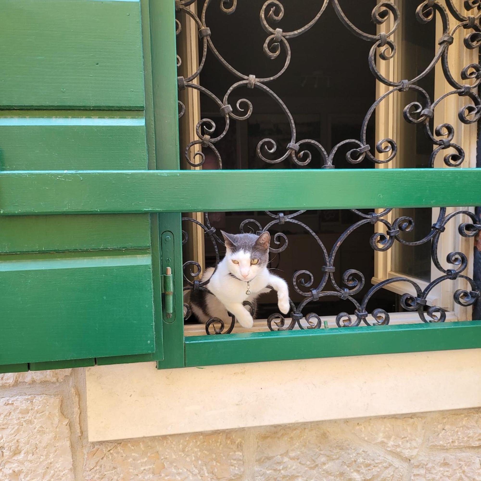 Apartmani Linda Vodice Kültér fotó